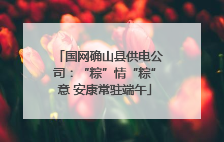 国网确山县供电公司：“粽”情“粽”意 安康常驻端午
