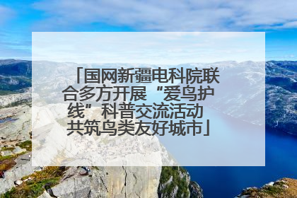 国网新疆电科院联合多方开展“爱鸟护线”科普交流活动 共筑鸟类友好城市