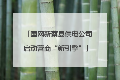 国网新蔡县供电公司启动营商“新引擎”