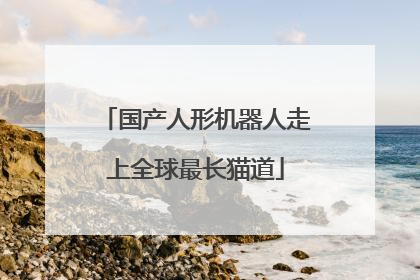 国产人形机器人走上全球最长猫道