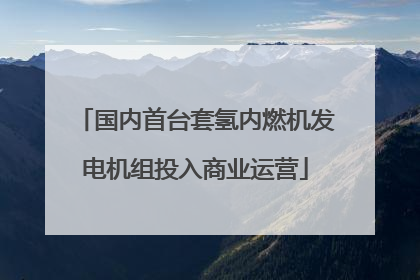 国内首台套氢内燃机发电机组投入商业运营