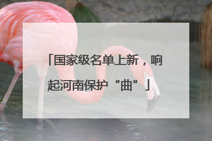 国家级名单上新，响起河南保护“曲”