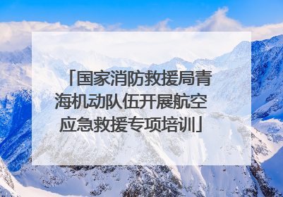 国家消防救援局青海机动队伍开展航空应急救援专项培训