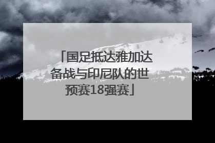 国足抵达雅加达备战与印尼队的世预赛18强赛