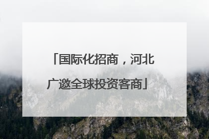 国际化招商，河北广邀全球投资客商