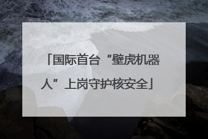 国际首台“壁虎机器人”上岗守护核安全