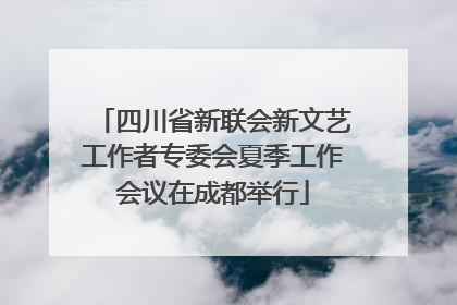 四川省新联会新文艺工作者专委会夏季工作会议在成都举行