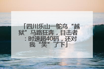 四川乐山一鸵鸟“越狱”马路狂奔，目击者：时速超40码，还对我“笑”了下