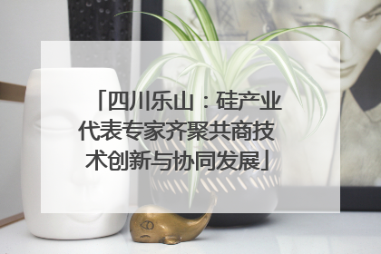 四川乐山：硅产业代表专家齐聚共商技术创新与协同发展