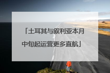 土耳其与叙利亚本月中旬起运营更多直航
