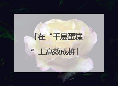 在“千层蛋糕”上高效成桩