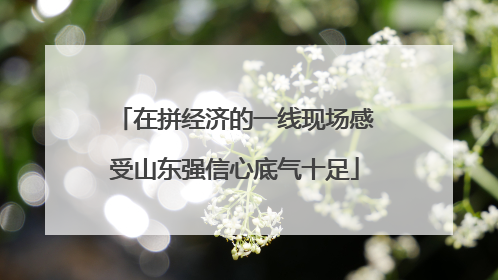 在拼经济的一线现场感受山东强信心底气十足