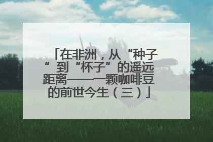 在非洲，从“种子”到“杯子”的遥远距离——一颗咖啡豆的前世今生（三）
