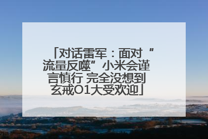 对话雷军：面对“流量反噬”小米会谨言慎行 完全没想到玄戒O1大受欢迎