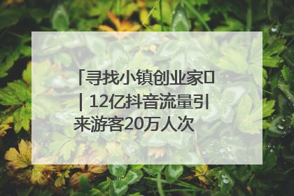 寻找小镇创业家㊱｜12亿抖音流量引来游客20万人次 “襄阳许三多”爆改家乡打造网红村