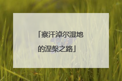 察汗淖尔湿地的涅槃之路