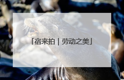 宿来拍｜劳动之美
