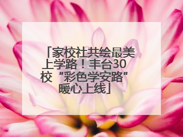 家校社共绘最美上学路！丰台30校“彩色学安路”暖心上线