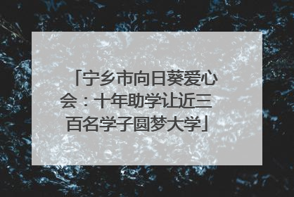 宁乡市向日葵爱心会：十年助学让近三百名学子圆梦大学