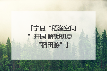 宁夏“稻渔空间”开园 解锁初夏“稻田游”