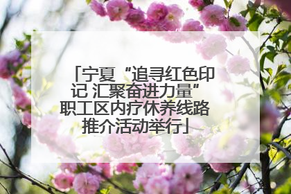 宁夏“追寻红色印记 汇聚奋进力量”职工区内疗休养线路推介活动举行
