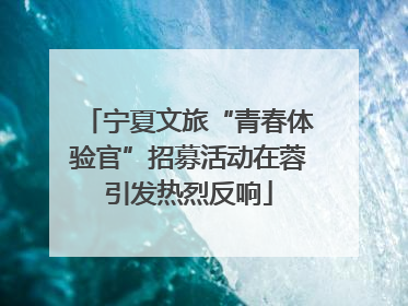 宁夏文旅“青春体验官”招募活动在蓉引发热烈反响