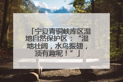 宁夏青铜峡库区湿地自然保护区：“湿地壮阔，水鸟振翅，顶有趣呢！”