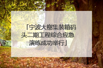 宁波大榭集装箱码头二期工程综合应急演练成功举行