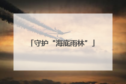 守护“海底雨林”