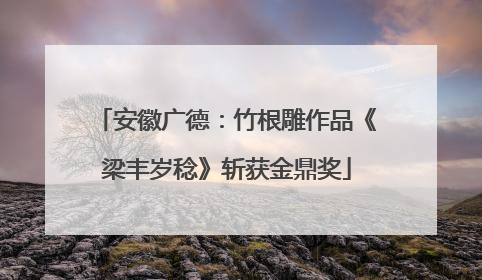 安徽广德：竹根雕作品《梁丰岁稔》斩获金鼎奖