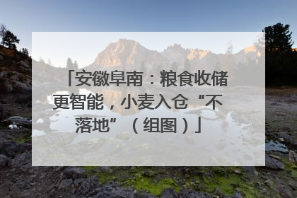 安徽阜南：粮食收储更智能，小麦入仓“不落地”（组图）