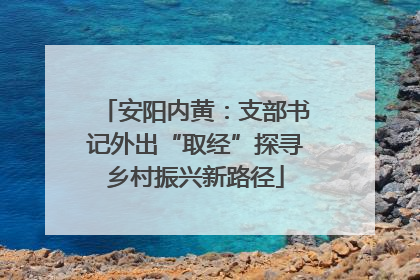 安阳内黄：支部书记外出“取经”探寻乡村振兴新路径