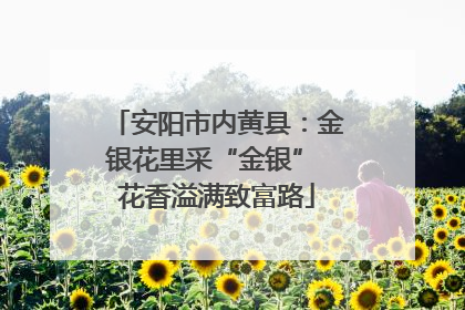 安阳市内黄县：金银花里采“金银” 花香溢满致富路