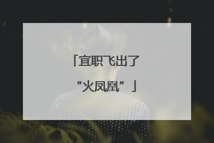 宜职飞出了“火凤凰”