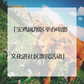 宝鸡凤翔区举办电影文化进社区惠民活动