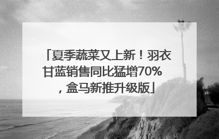 夏季蔬菜又上新！羽衣甘蓝销售同比猛增70%，盒马新推升级版