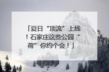 夏日“顶流”上线！石家庄这些公园“荷”你约个会！