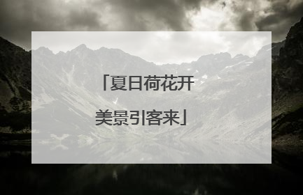 夏日荷花开 美景引客来