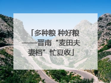 多种粮 种好粮——晋南“麦田夫妻档”忙夏收