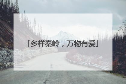 多样秦岭，万物有爱