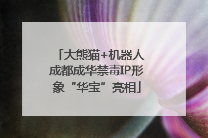 大熊猫+机器人 成都成华禁毒IP形象“华宝”亮相