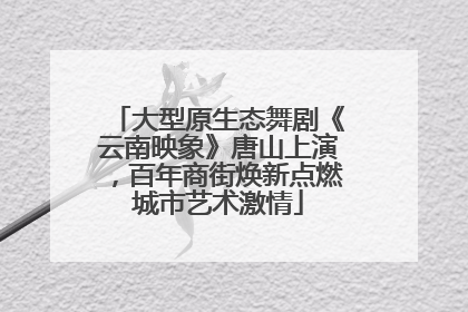 大型原生态舞剧《云南映象》唐山上演，百年商街焕新点燃城市艺术激情