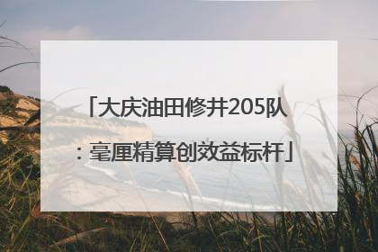 大庆油田修井205队：毫厘精算创效益标杆