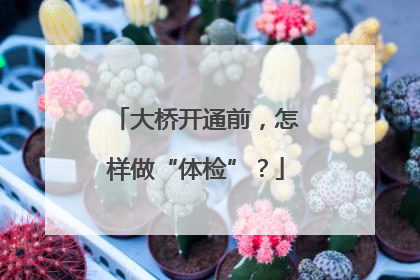 大桥开通前，怎样做“体检”？