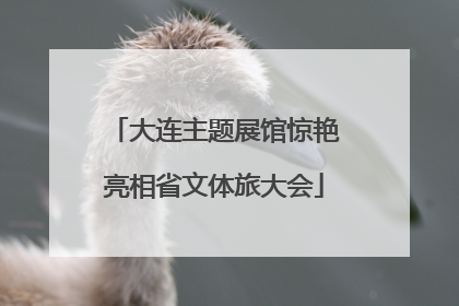 大连主题展馆惊艳亮相省文体旅大会