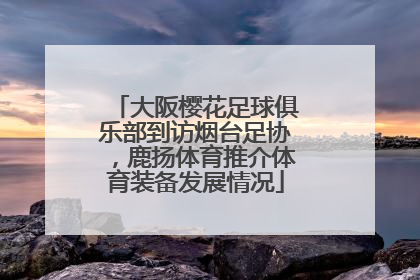 大阪樱花足球俱乐部到访烟台足协，鹿扬体育推介体育装备发展情况