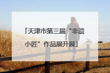 天津市第三届“非遗小匠”作品展开展