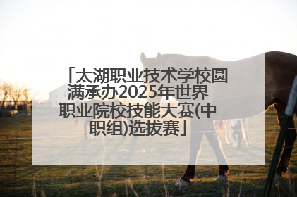 太湖职业技术学校圆满承办2025年世界职业院校技能大赛(中职组)选拔赛
