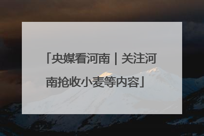 央媒看河南｜关注河南抢收小麦等内容