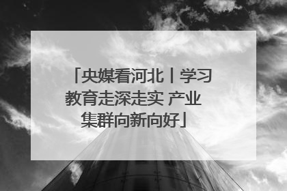 央媒看河北丨学习教育走深走实 产业集群向新向好
